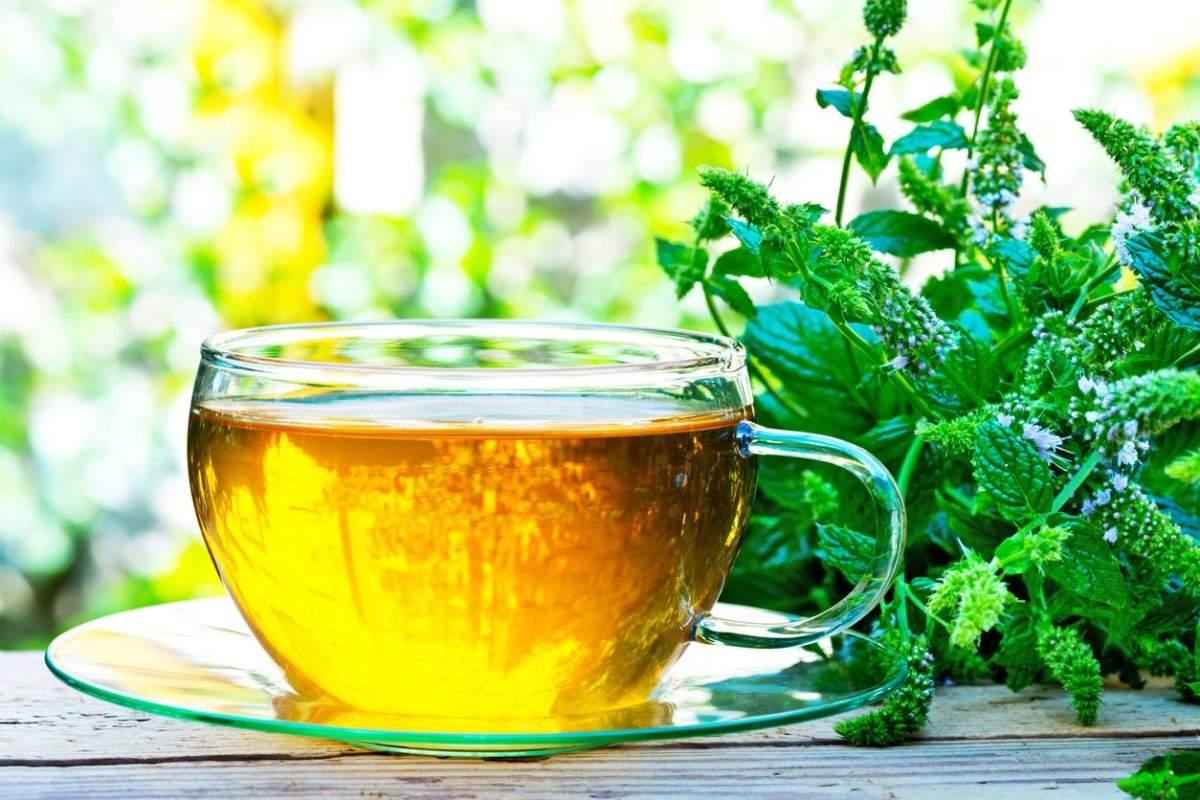 Čaj od mente pomaže kod prehlade i gripe - Avaz