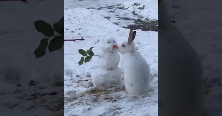 Zec u snijegu pronašao snješka Bjelića pa napravio nešto preslatko