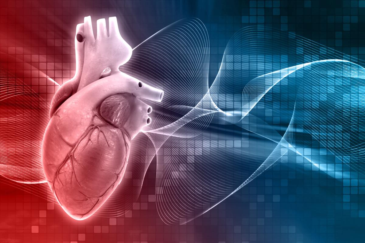 Otkucaji srca jedan su od najvažnijih pokazatelja zdravlja - Avaz