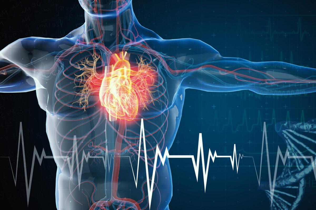 Kardiovaskularne bolesti se polako razvijaju - Avaz