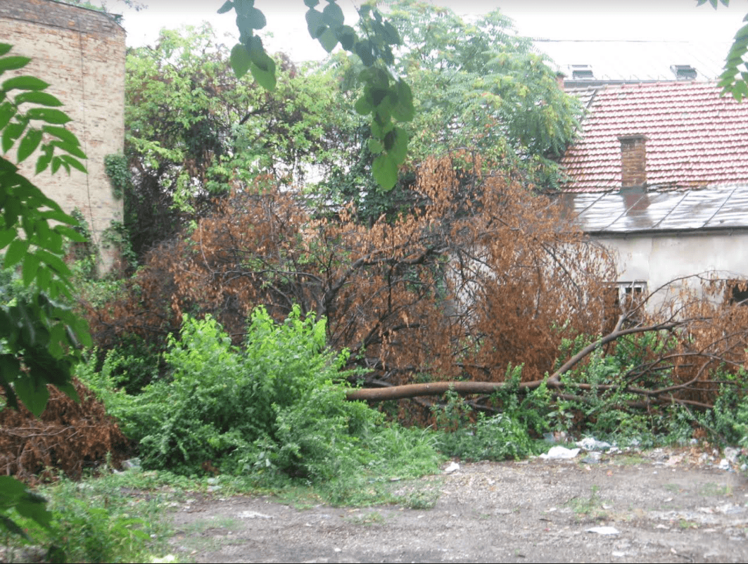 Dosad očišćeno više od 70 zapuštenih dvorišta - Avaz