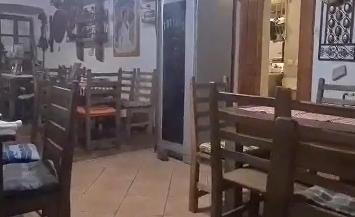 Jež se prošetao restoranom u Herceg Novom