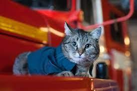 Mačak Semjon živi u vatrogasnoj stanici, a ima posebno važan zadatak