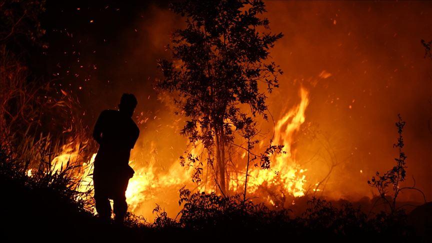 UN: Šumski požari se pogoršavaju, svijet nepripremljen