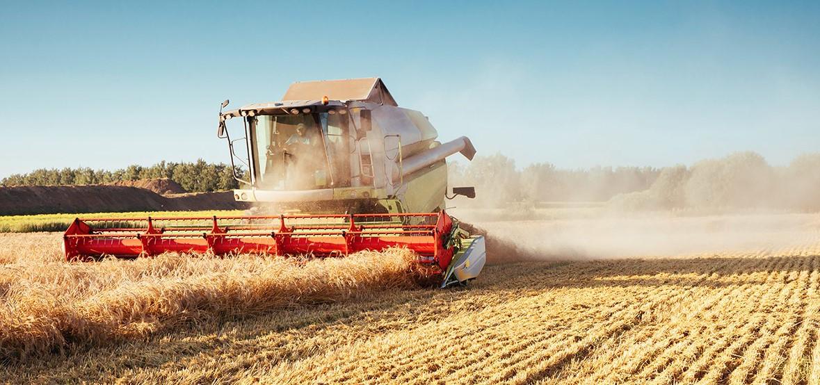 Podbacit će žetva žitarica u svijetu: Poskupljenjima hrane ne vidi se skori kraj