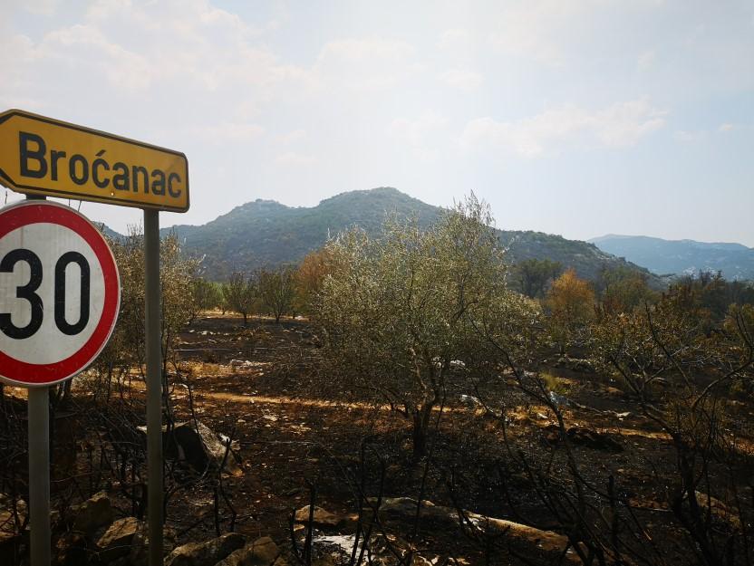 Požar uništio drveće - Avaz