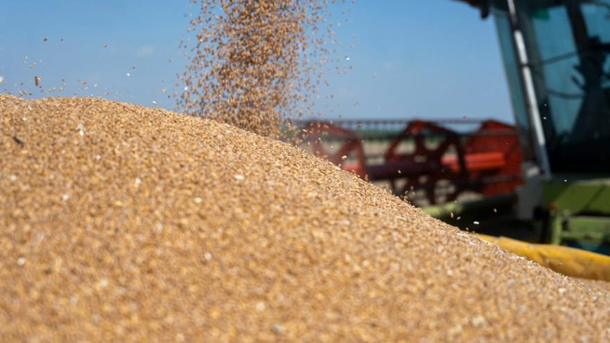 Cijene kukuruza porasle su jutros 2,6 posto - Avaz