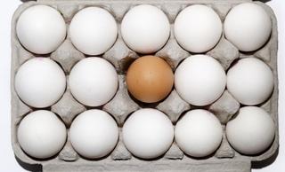 Koja je razlika između smeđih i bijelih jaja?