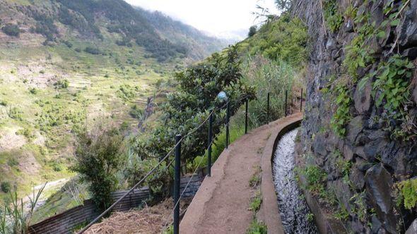 Madeira - Avaz