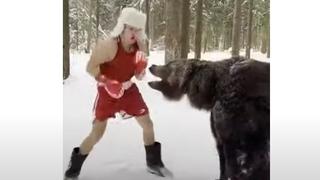 Igor pomjera granice treninga: Pogledajte kako sparinguje s medvjedom