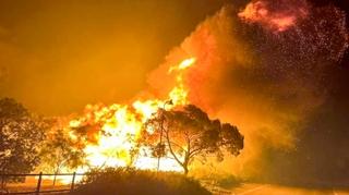 Toplotni val zahvatio Zapadnu Australiju, povećao rizik od šumskih požara