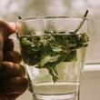 Čaj od mente za jači imuni sistem: Odlična svojstva za zdravlje i ljepotu