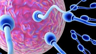 Naučnici otkrili novu metodu kojom je moguće potaknuti kretanje spermija