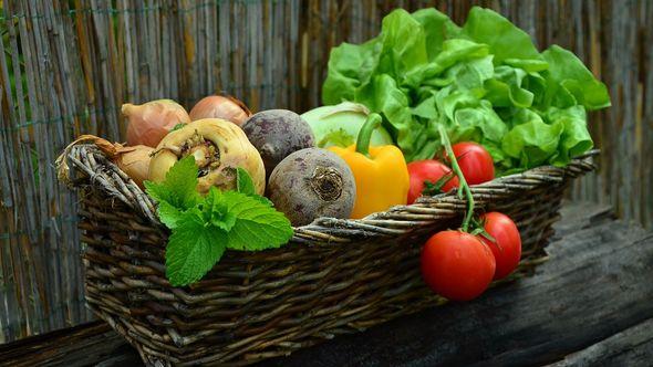 Možete uzgojiti razne vrste povrća - Avaz