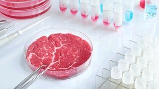 Izrael odobrio prodaju laboratorijski uzgojenog goveđeg mesa