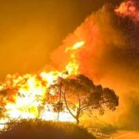 Toplotni val zahvatio Zapadnu Australiju, povećao rizik od šumskih požara