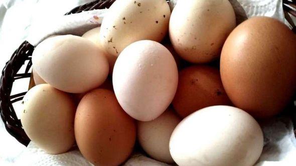 Izvoz jaja za preradu je povećan za 80,9 posto - Avaz