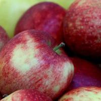 Saudijska Arabija novo izvozno tržište za jabuke iz BiH