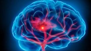 Nevjerovatne tajne ljudskog mozga: Istraživanje otkrilo kako se fokusiramo