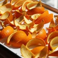 Kako da od narandžine kore napravite gnojivo za biljke