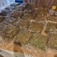 U Beogradu zaplijenjeno 130 kilograma marihuane: Dvije osobe uhapšene