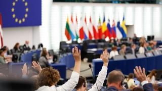 EU će uspostaviti radnu grupu za praćenje pokušaja stranog uticaja na evropske izbore u junu