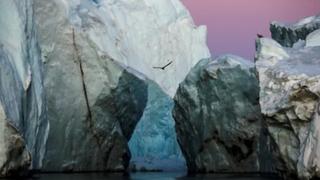 Naučnici na Grenlandu otkrili DNK star dva miliona godina