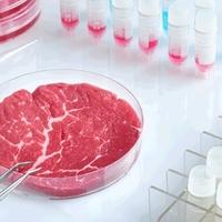 Izrael odobrio prodaju laboratorijski uzgojenog goveđeg mesa
