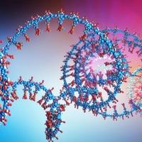 Razvijen novi način borbe protiv raka: Vještačke DNK strukture napadaju maligne ćelije