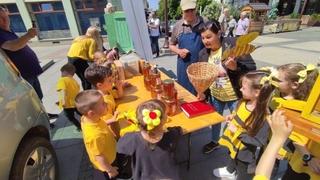 U Brčkom obilježen Svjetski dan pčela, upozoreno na sve manji broj pčela