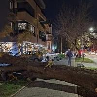 Jak vjetar prouzrokovao brojne štete na objektima i putevima širom BiH