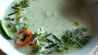 Hladna krem supa od krastavaca