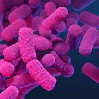Davno zaboravljeni antibiotik sad bi mogao biti ključan u borbi protiv superbakterija