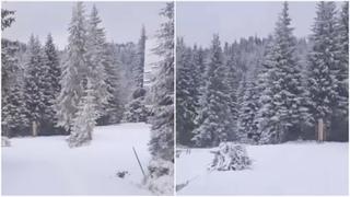 Video / Jahorina prekrivena snijegom pred kraj aprila