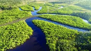 Globalno zagrijavanje primarni uzrok suše u Amazoniji prošle godine
