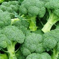 Pet prednosti brokule koje je čine superhranom
