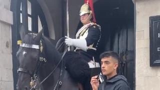 Tiktoker uhapšen nakon što je gurnuo mikrofon pod nos konju kraljevske garde