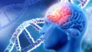 Virus ubačen u mozak sprečava alkoholizam: Genska terapija uspješna u liječenju bolesti zavisnosti