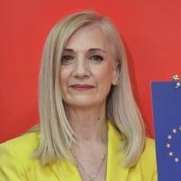 Jurišić: Pozivam na odgovornost HDZ, SNSD i trojku za potpuno provođenje Zakona o javnom RTV sistemu