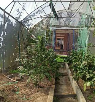 U Banjoj Luci pronađen laboratorij za uzgoj marihuane: Jedna osoba uhapšena