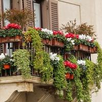 Kako da obojite svoj balkon i vrt bojama proljeća