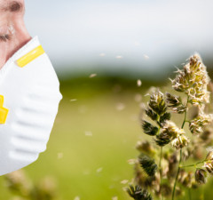  30 zrna polena drveća i trava u zraku dovoljno je da izazove tegobe kod preosjeljivih osoba