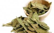 Sam miris lovorovih listova u jelu ili čaju djeluje umirujuće