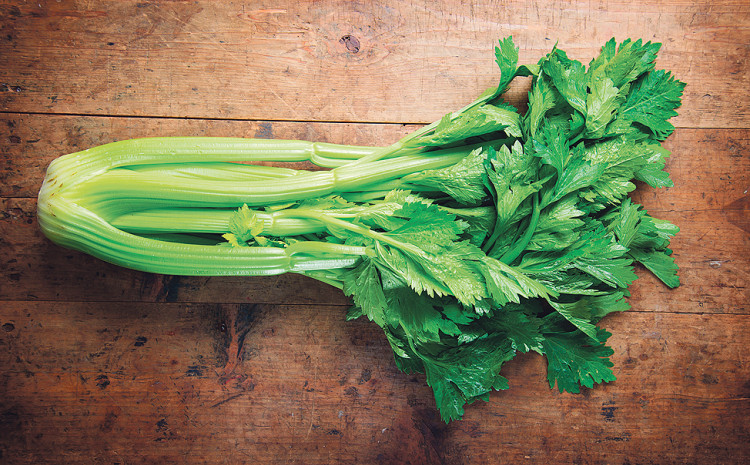 Celer je odličan izvor kalijuma i kalcijuma