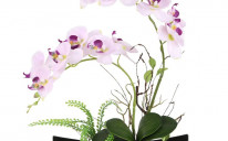 Pravilna briga o orhidejama: Pet čestih grešaka zbog kojih ovo cvijeće lako uvene