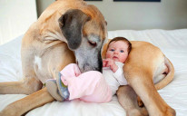 Beba i pas imaju poseban odnos